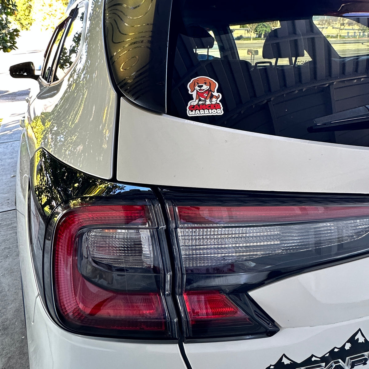 Dori's Cancer Warrior Sticker - Free Shipping