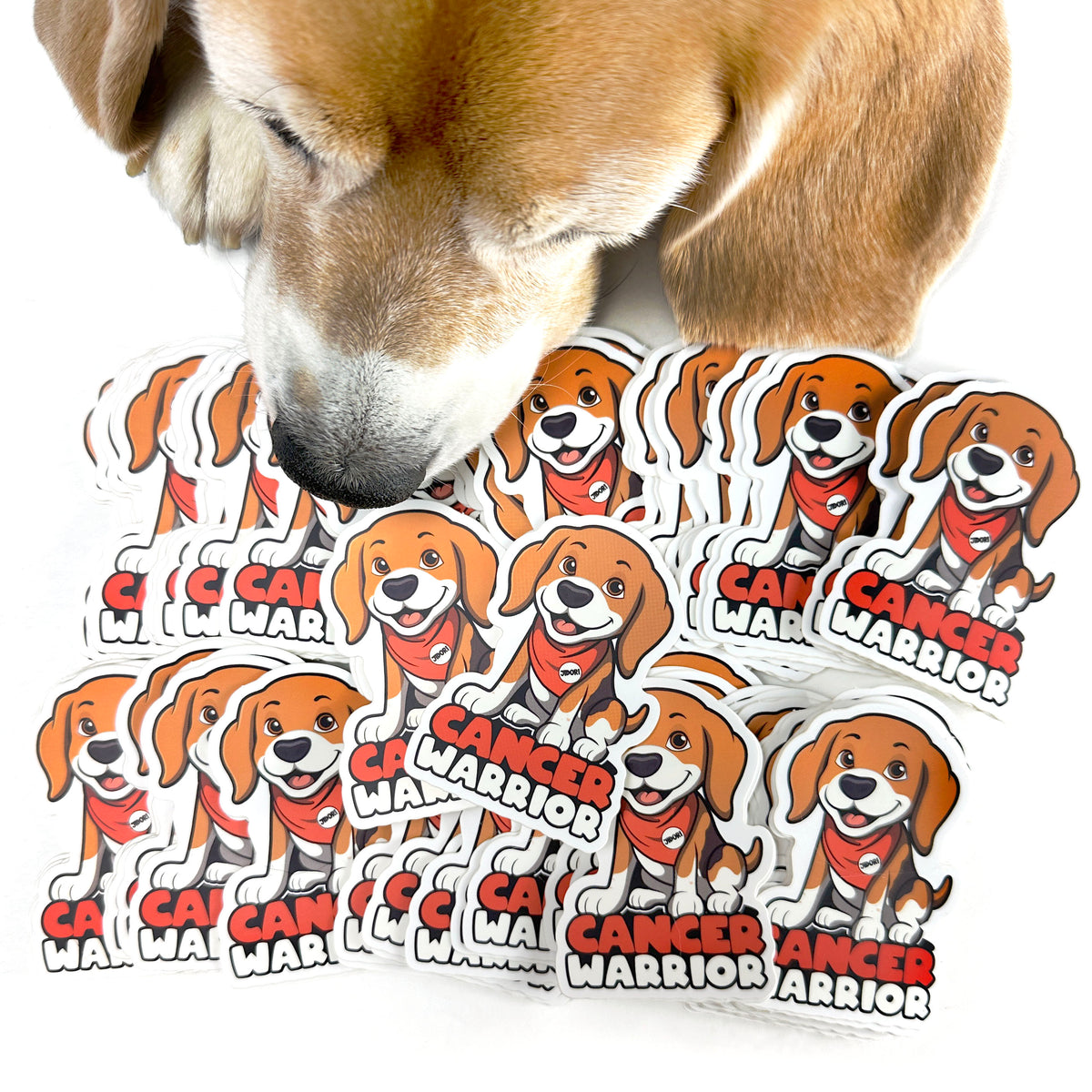 Dori's Cancer Warrior Sticker - Free Shipping