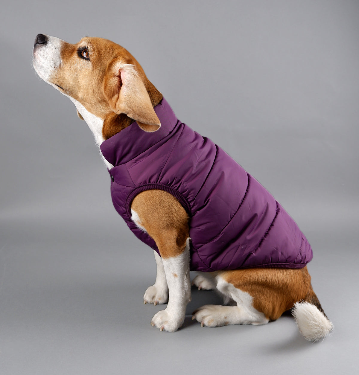 Puffer Coat Jacket for Dogs