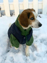 Puffer Coat Jacket for Dogs